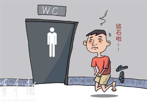 泌尿系统彩超检查